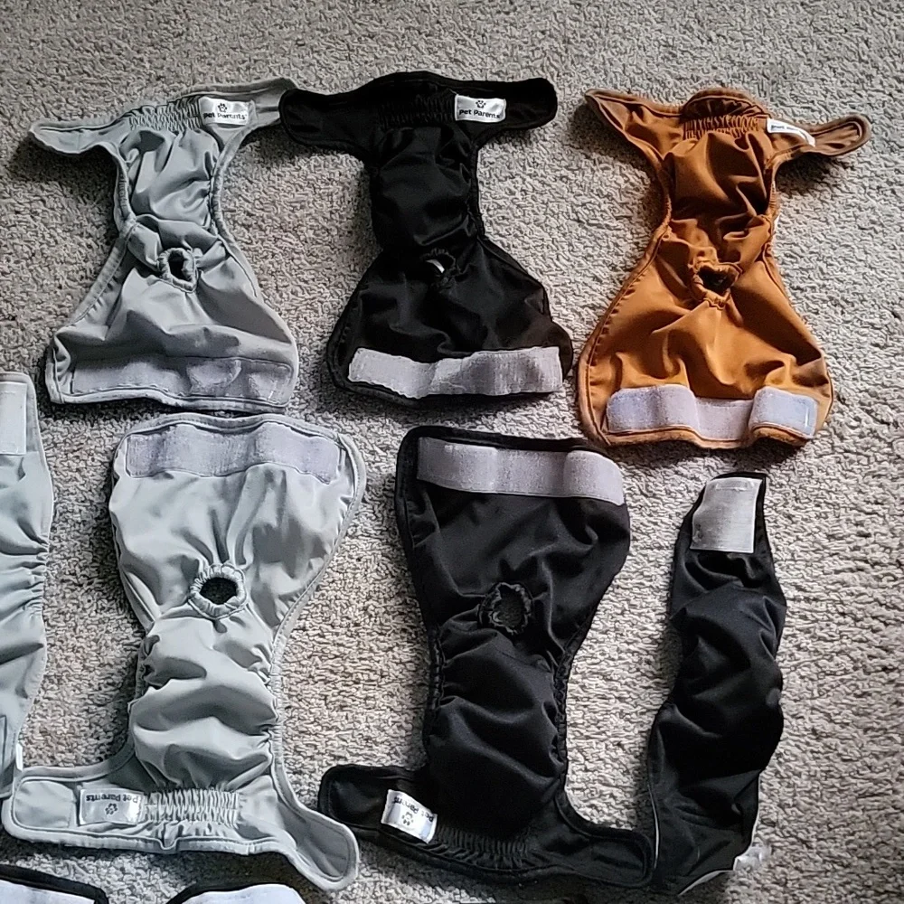Used Male Diapers and Wraps. Small and X small